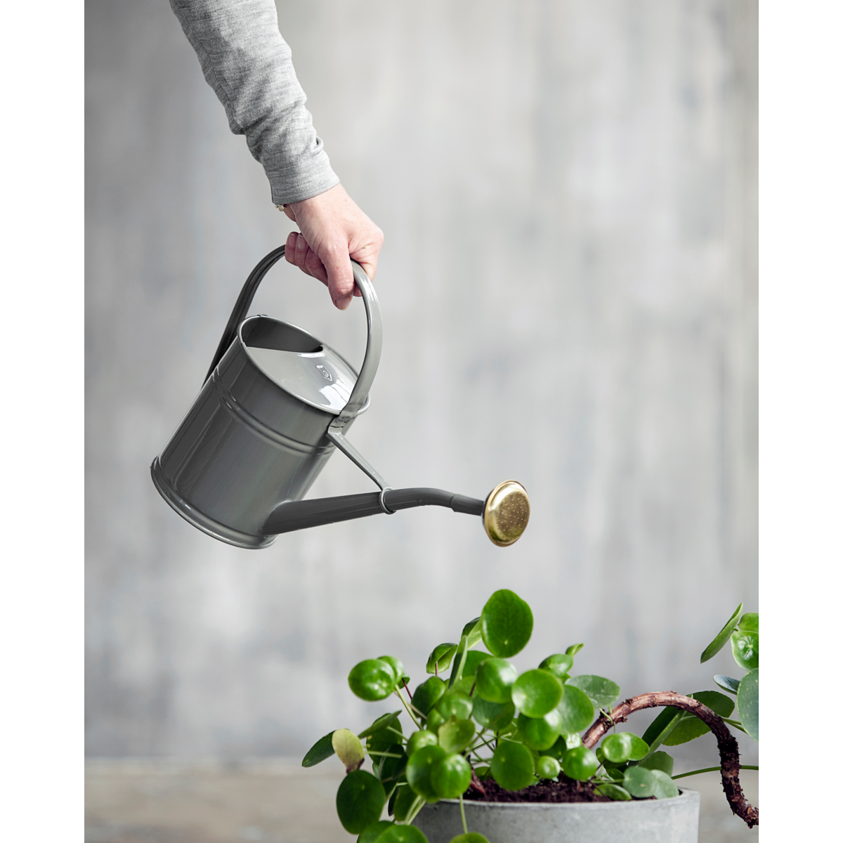 Talo -lääkäri - Vandgang, Hdwan, harmaa