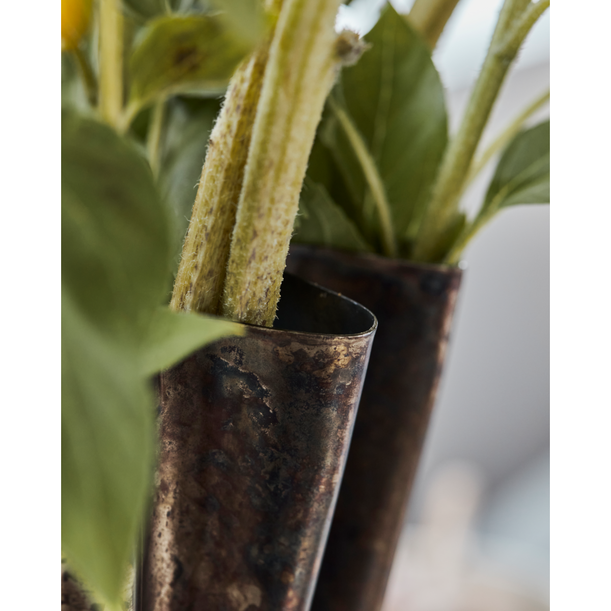 Maljakko, hdflood, antiikki ruskea