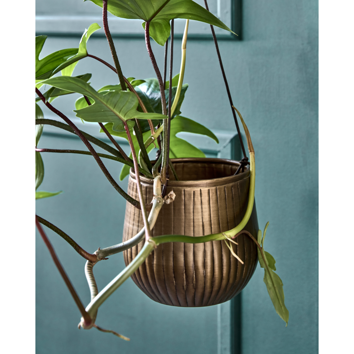 Yrttipot, hdplan, kultainen