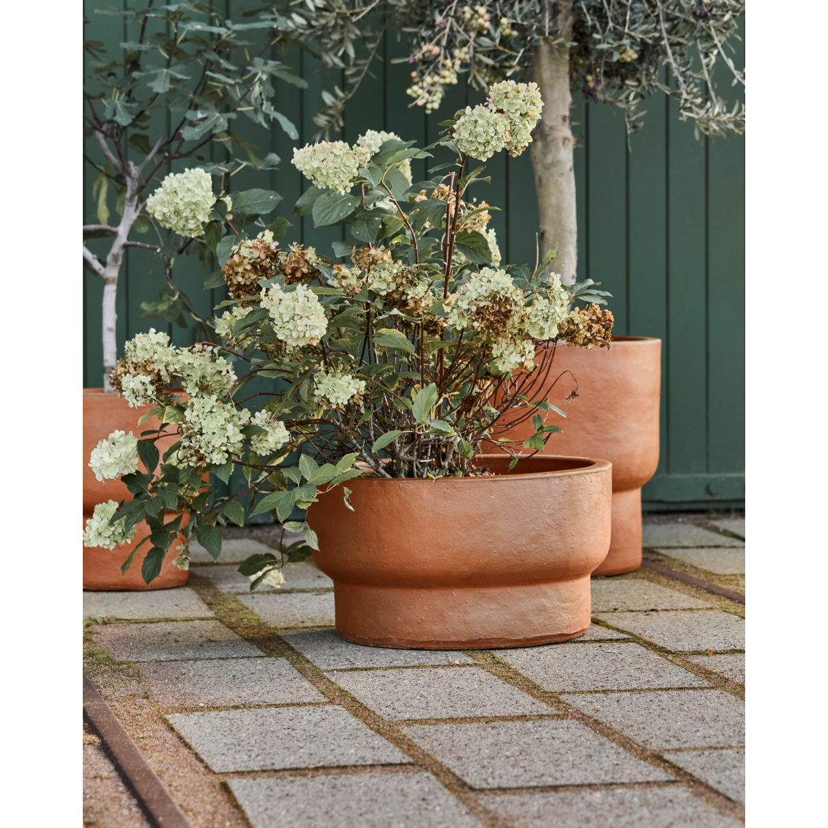 Yrttipot, hdterra, antiikki ruskea