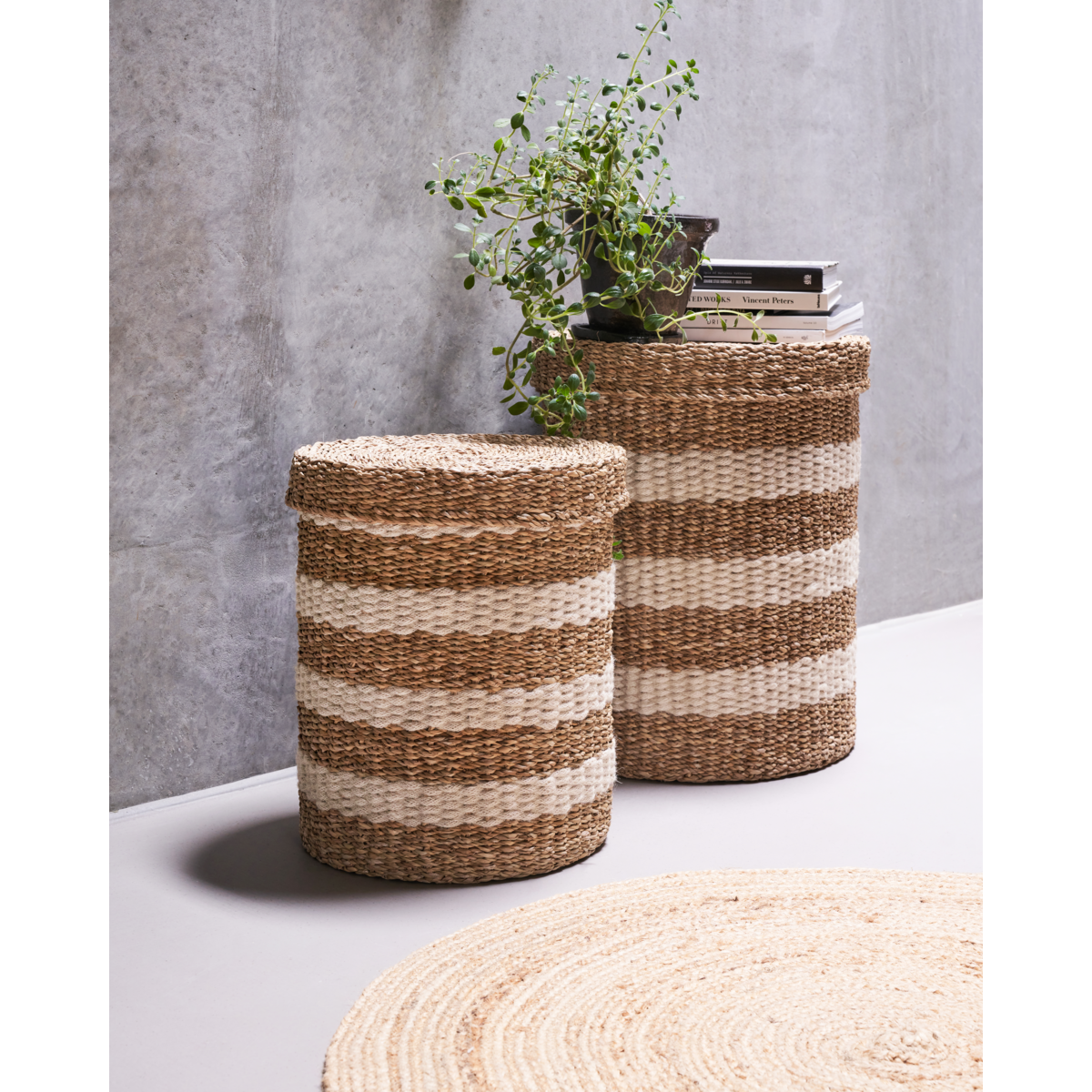 Säilytyskäyrä, HDGEET, luonto; Ruskea