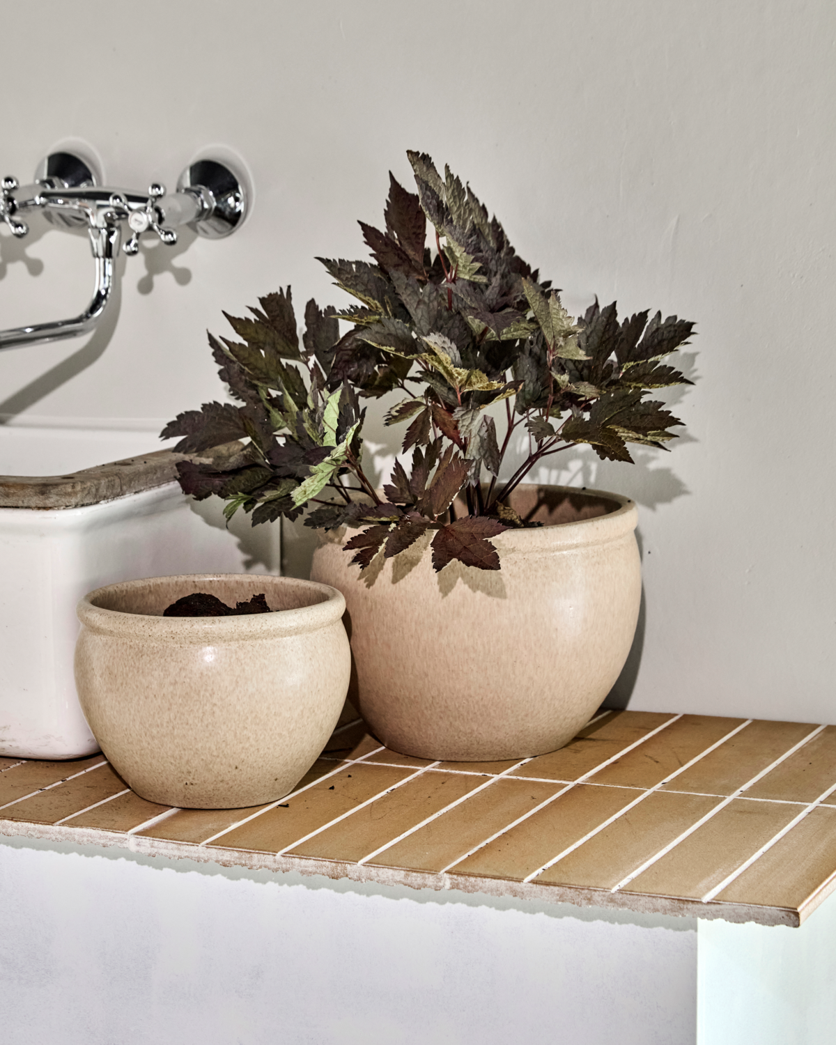 Kukkaruukku, HDVale, beige