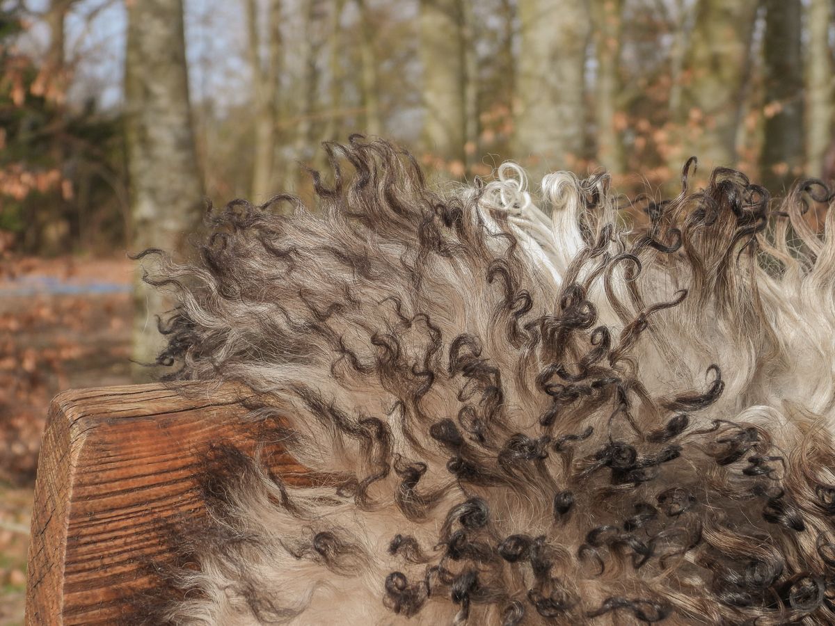 Lampaannahka | Kihara | Itävalta | 90x60 cm