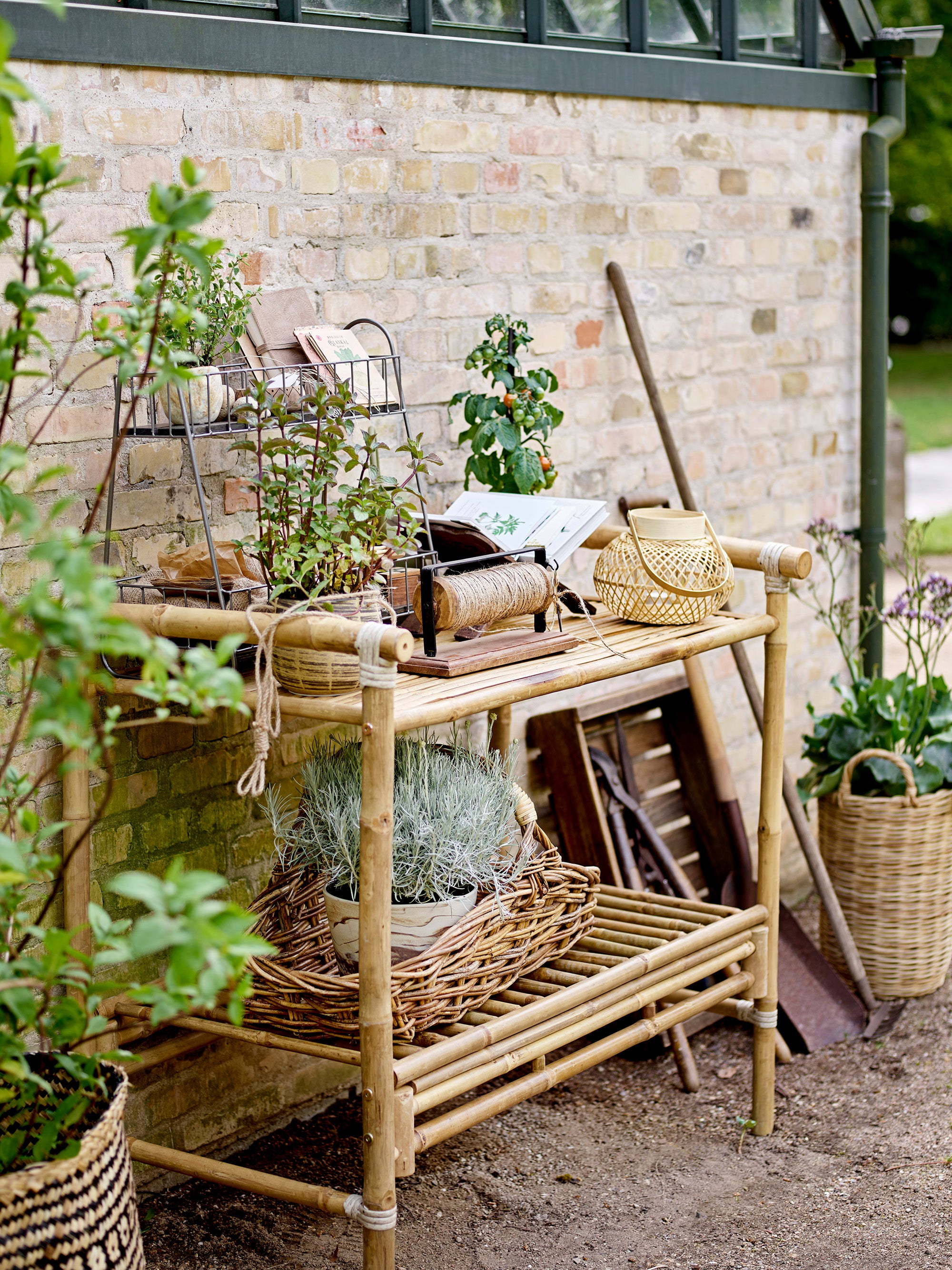 Malda -lyhtyet lasi, luonto, bambu
