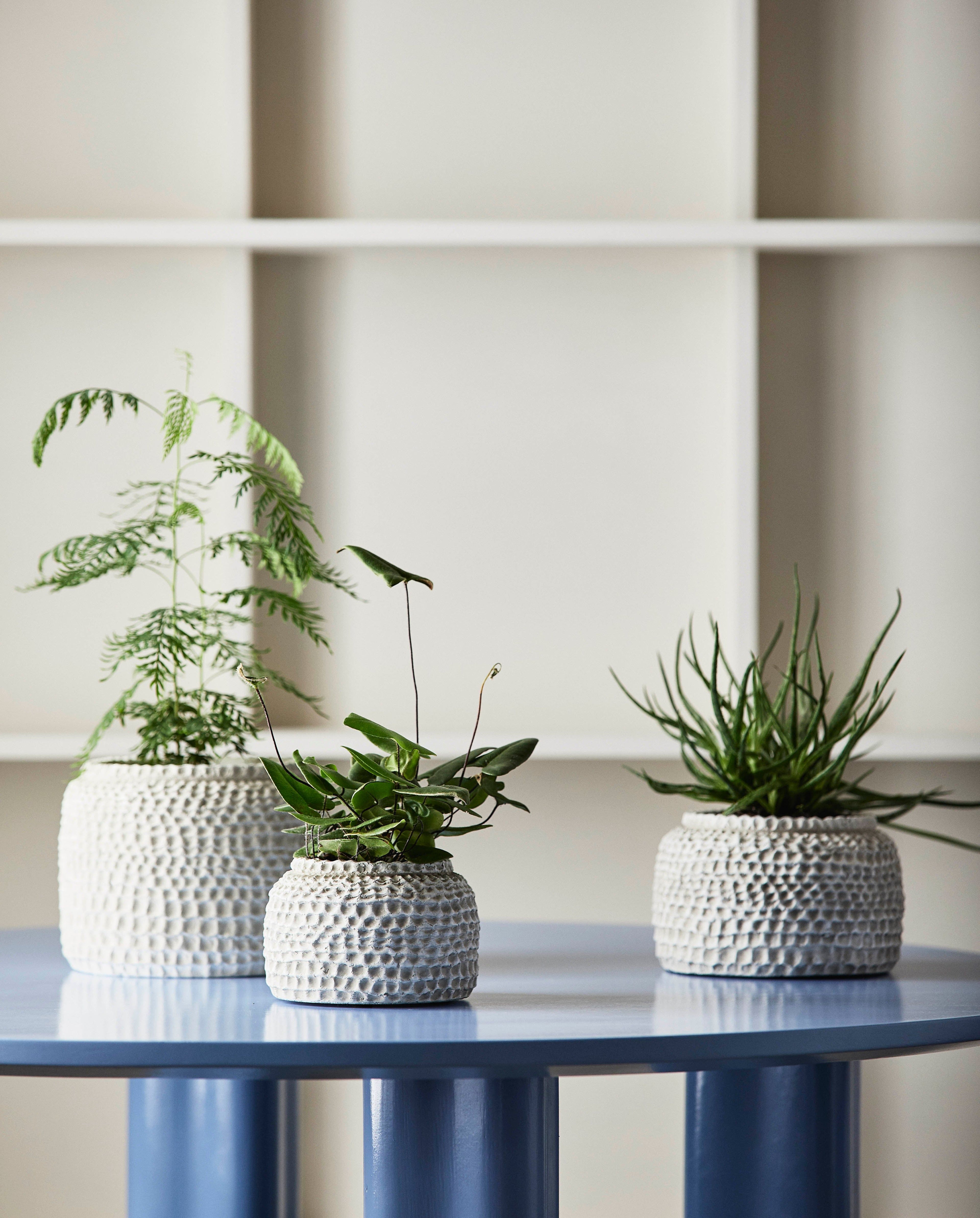 Aoba purkki sementillä, m - valkoinen