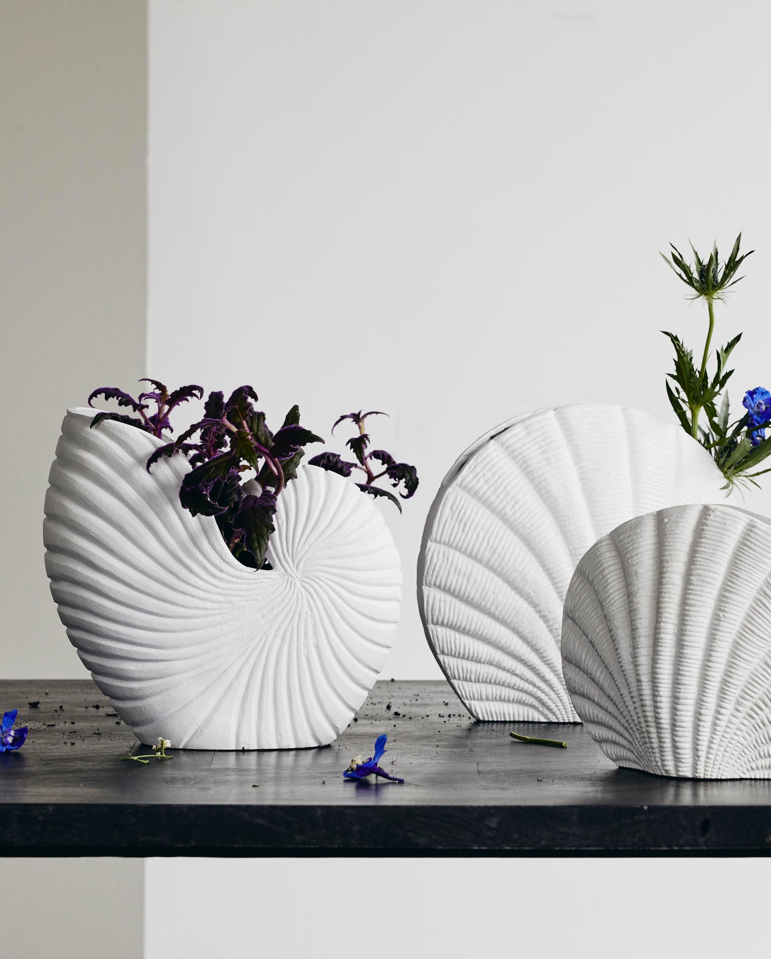 Rakitu -kukkamaljakko - Conch - H25 cm - valkoinen