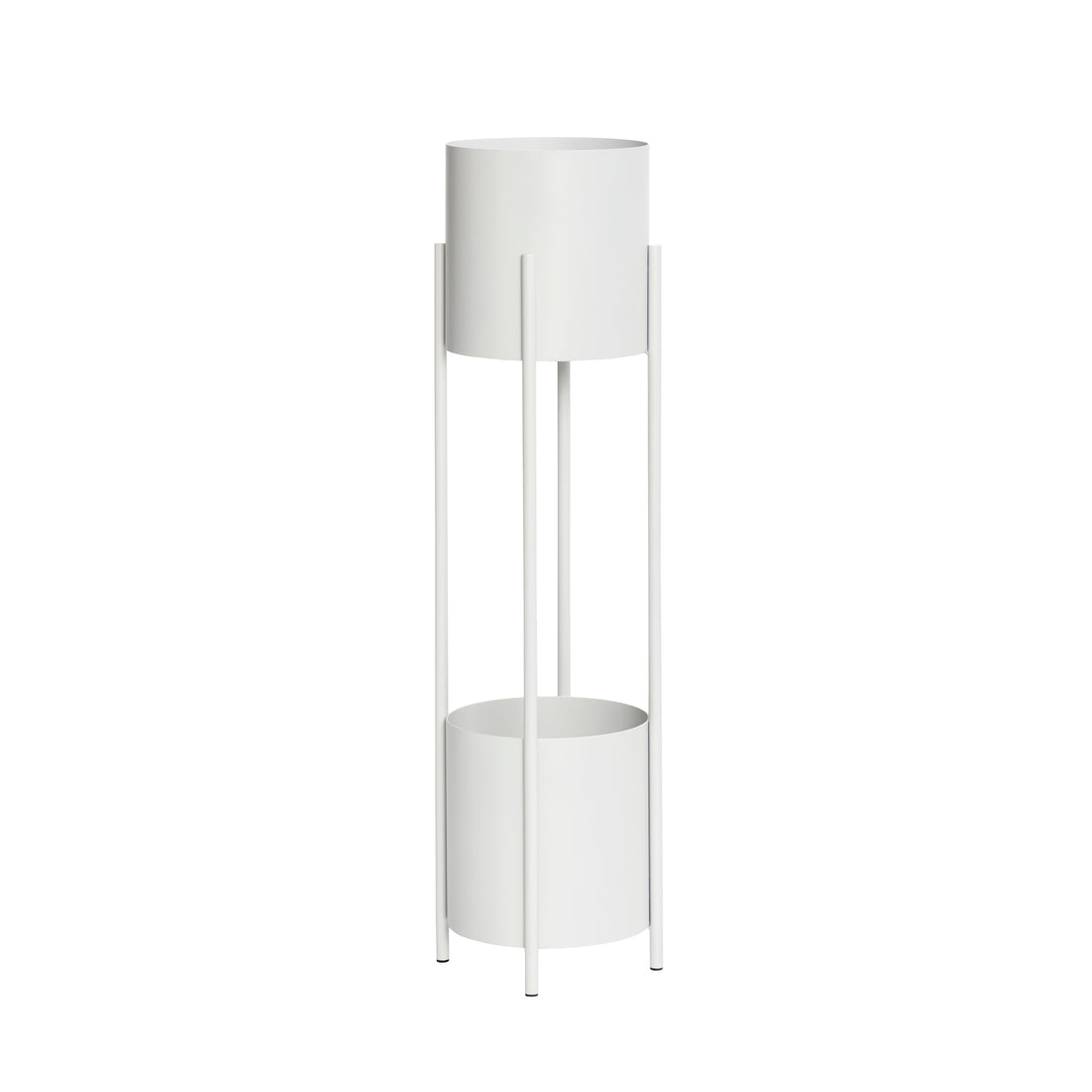 Iris kasvi seisoo vaaleanharmaa - Ø28xh100cm