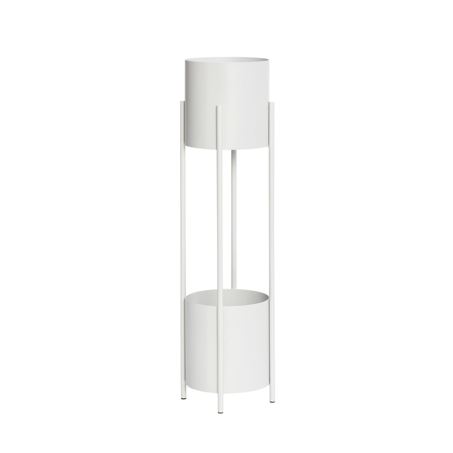 Iris kasvi seisoo vaaleanharmaa - Ø28xh100cm