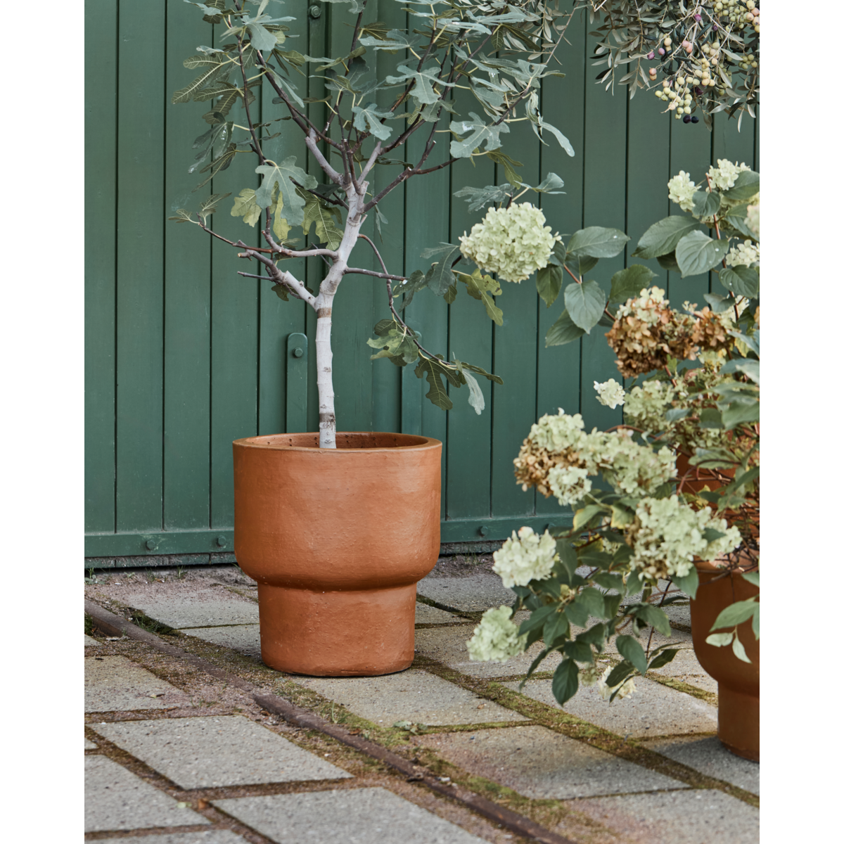 Yrttipot, hdterra, antiikki ruskea