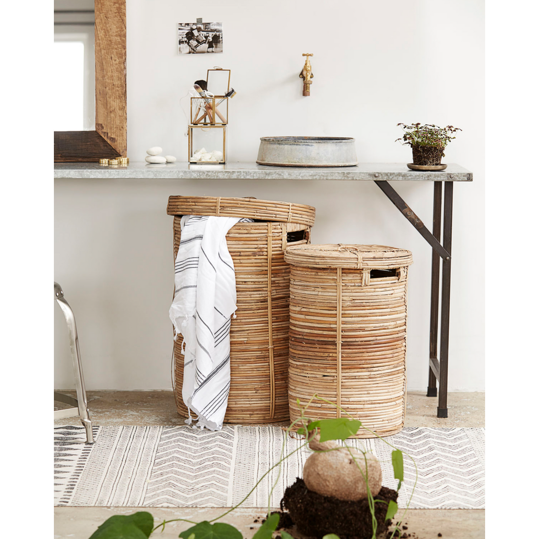 Pesulakori, Hdchaka, luonto