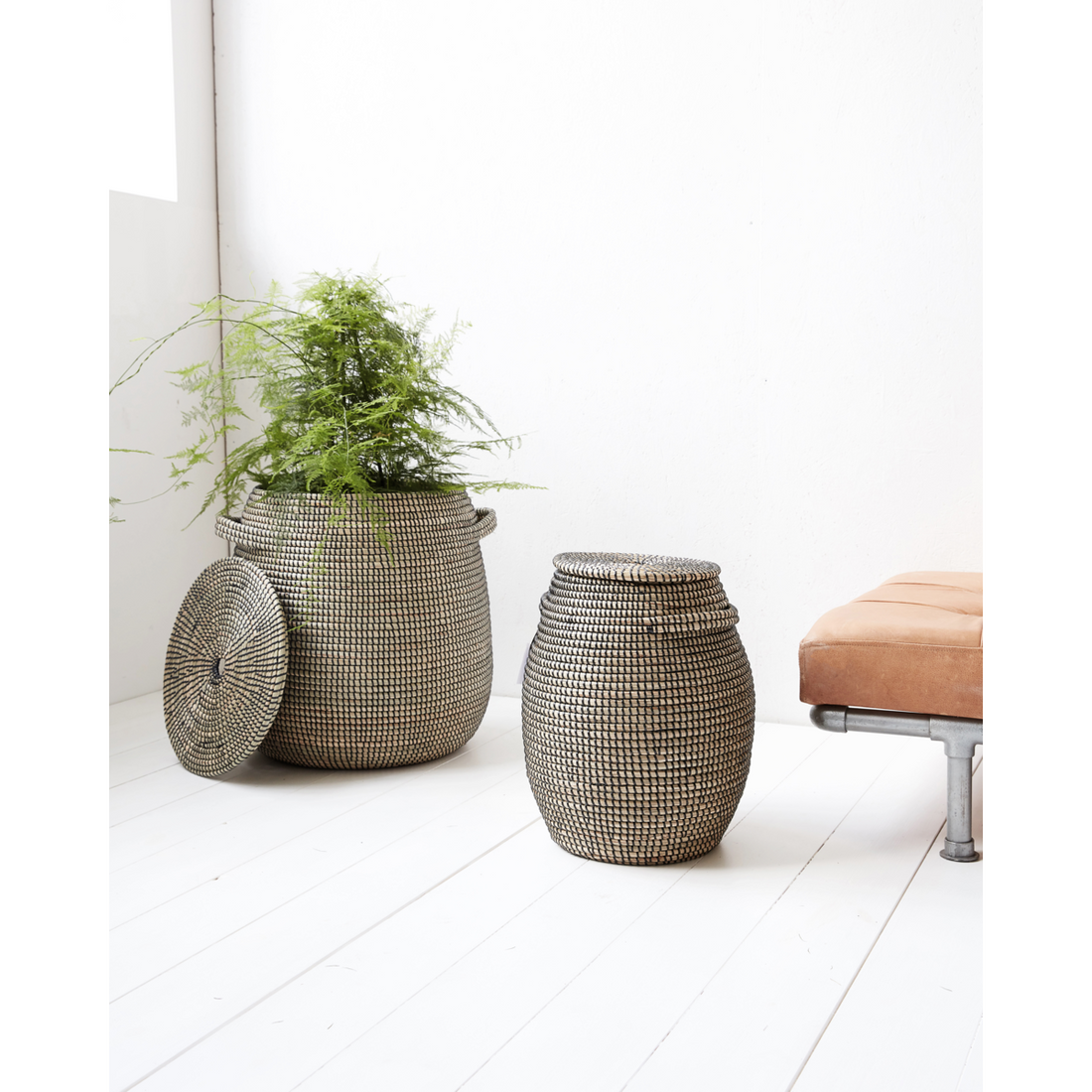 Talo -lääkäri - käyrä, hdeffect, musta; Luonnollinen