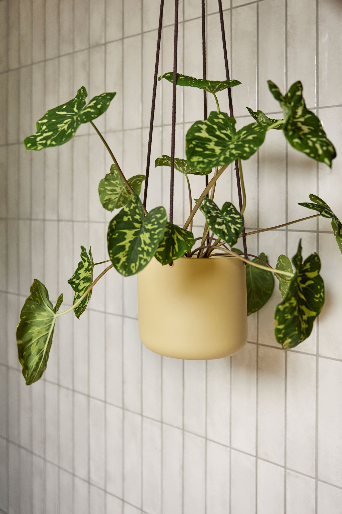 Bloking Riput Potty Suuri khaki (sarja 3) - Ø17xh16, ø21xh20, Ø25xh24cm
