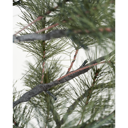 Joulukuusi LED: llä, HDPEUCE: lla, luonto