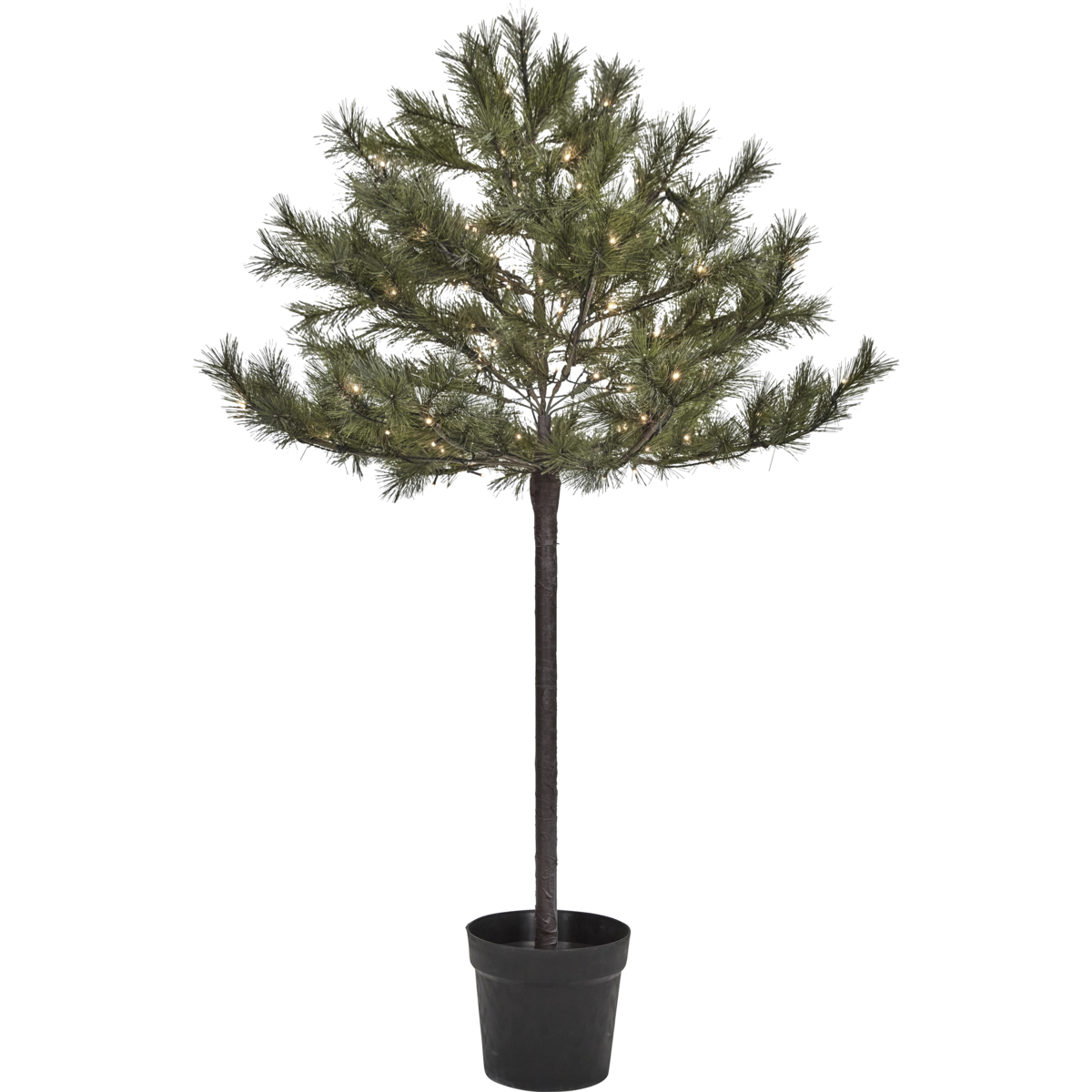 Joulukuusi LED: llä, HDPEUCE: lla, luonto