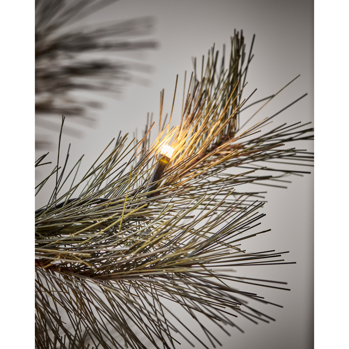 Joulukuusi LED: llä, HDPEUCE: lla, luonto