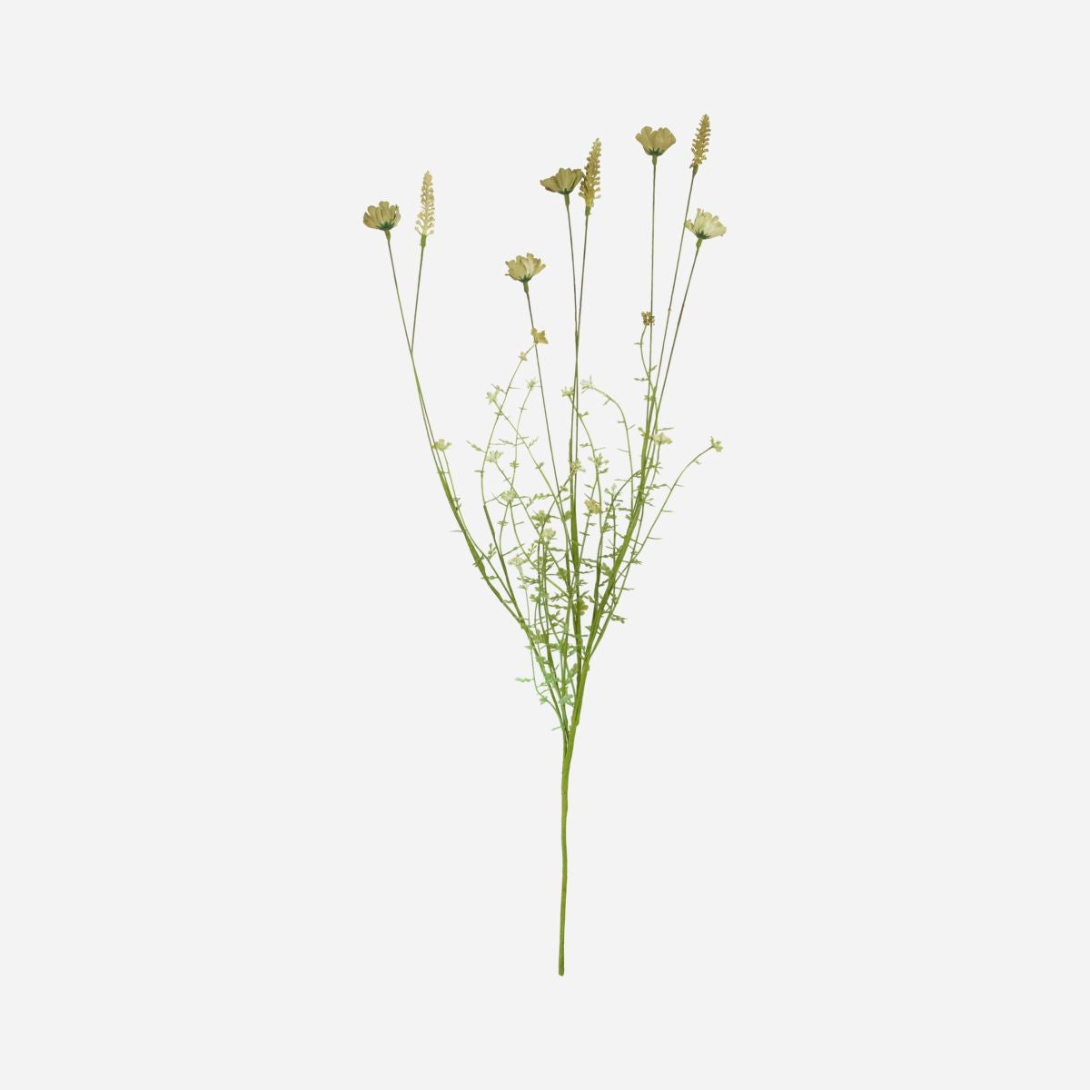 Talo lääkäri kukka, villi beige - l: 70 cm