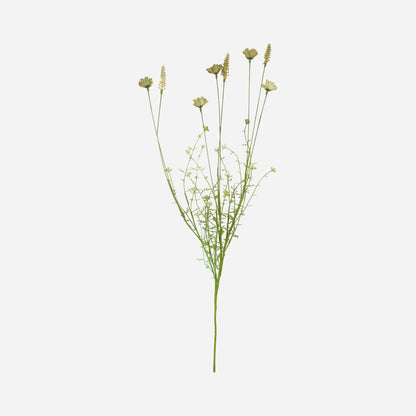 Talo lääkäri kukka, villi beige - l: 70 cm