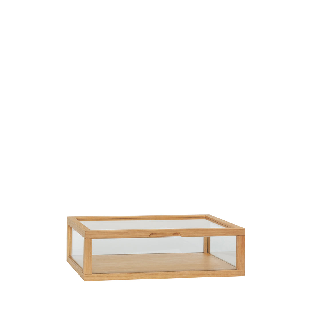 Näytä näyttely Montre Pieni luonto - 40x30xh12cm
