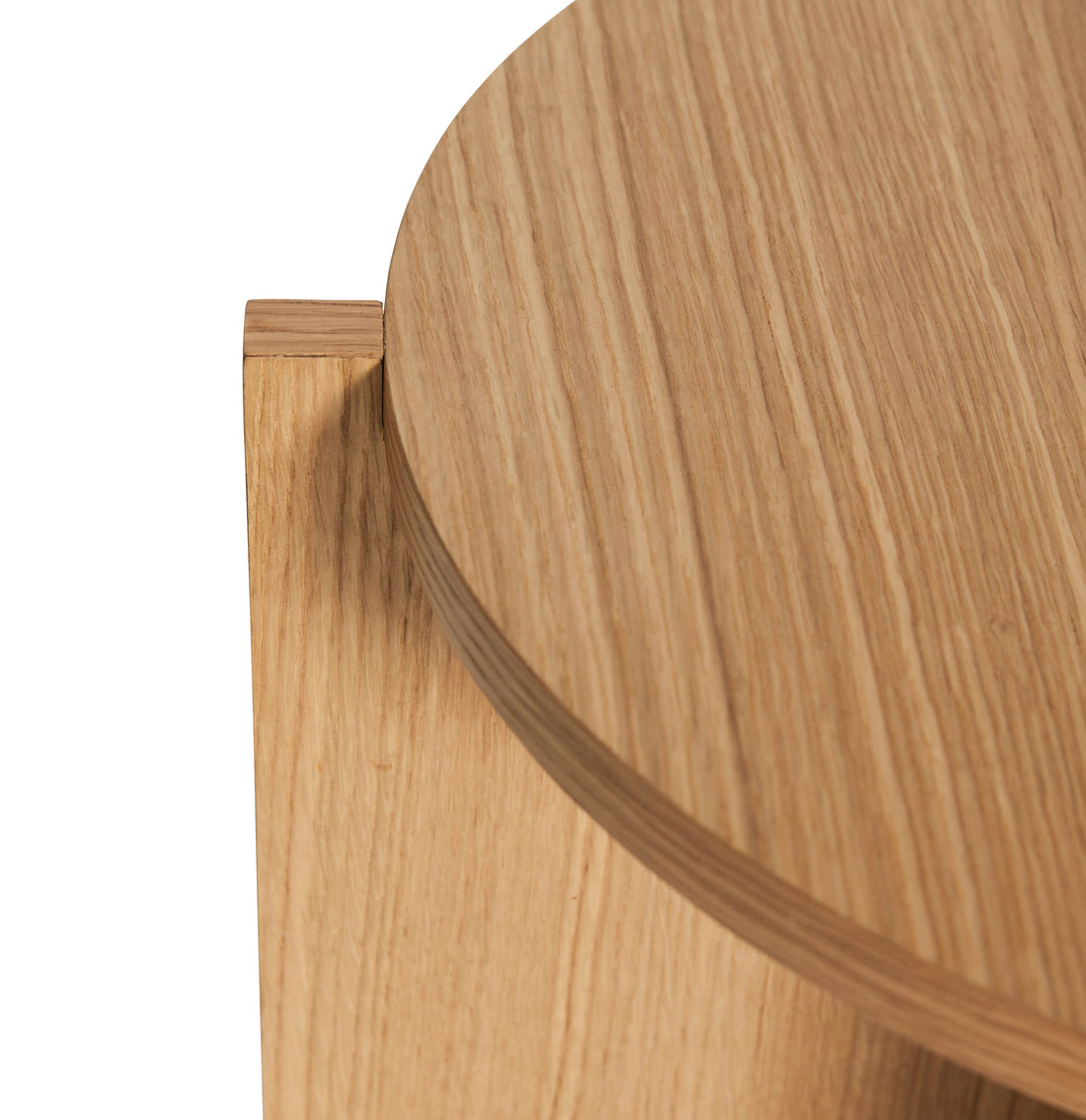 Nomad -kasvi on suuri luonto - Ø45xh30cm