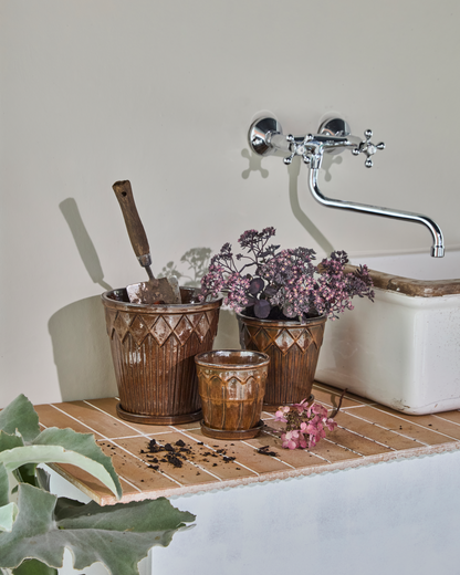 Kukkaruukku, HDCora, ruskea