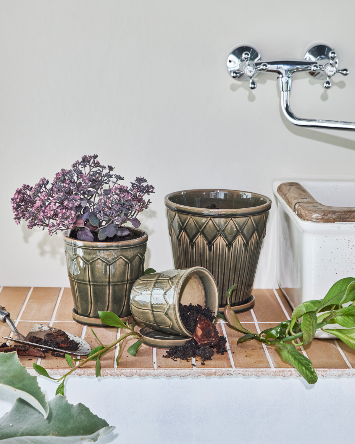 Kukkaruukku, HDCora, harmaa