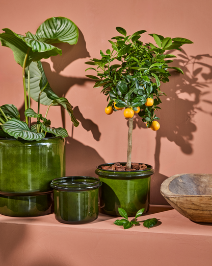 Ruukku, HDHoop, vihreä