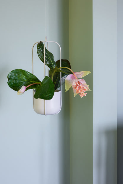 Lotus -roikkuva potin vaaleanharmaa (sarja 2) - Ø16xh44cm
