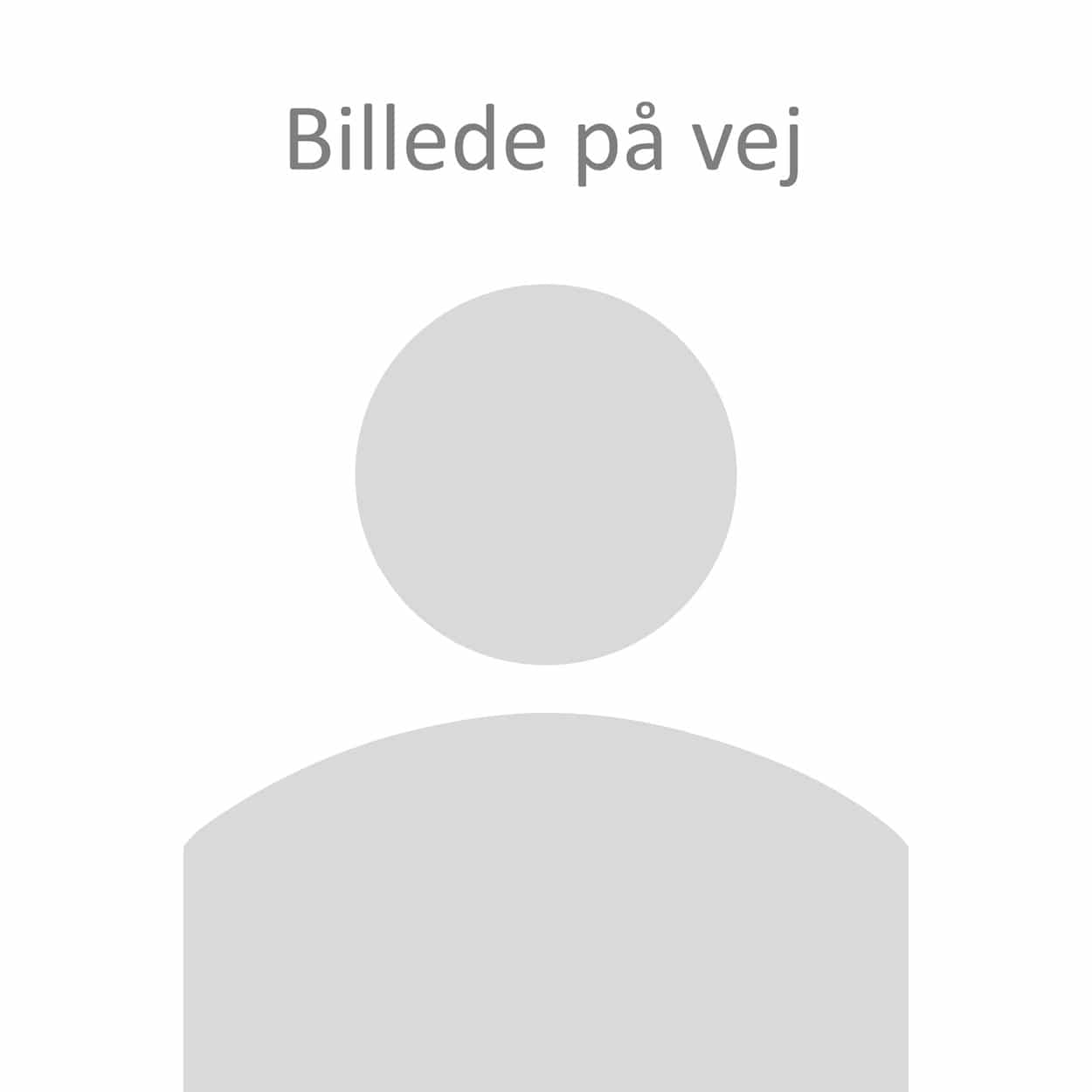 Ylellinen hiekanvärinen tyyny Poul M. Volther J46 -tuoliin - Pehmusteet FDB J46 -tuoliin - DesignGaragen.dk