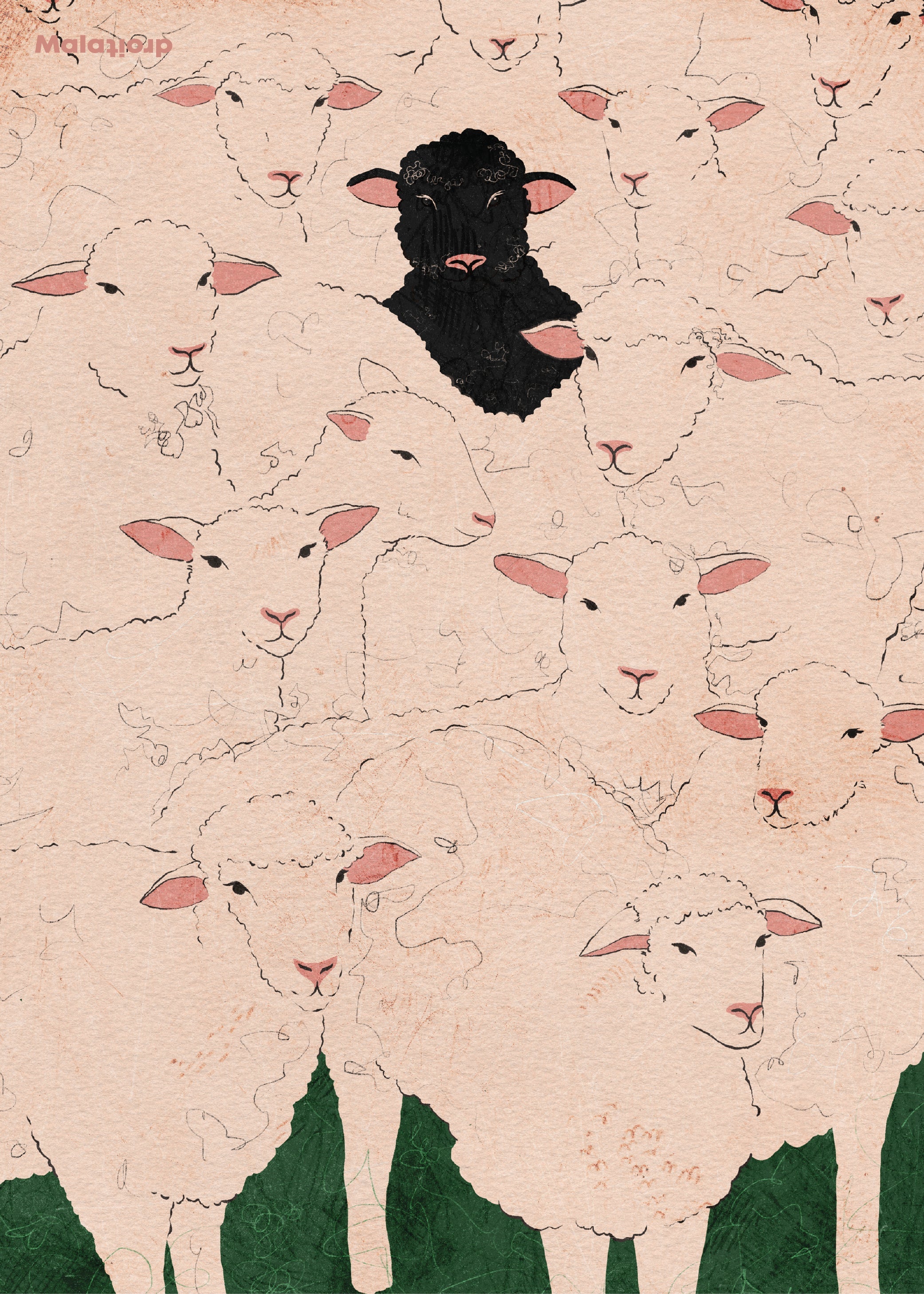 Musta lammas