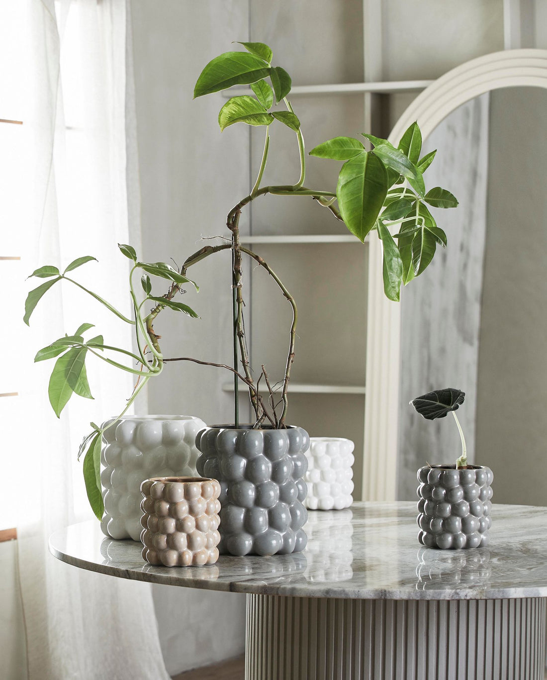 Carna Herbal Pot posliinissa - pieni - Ø15,5 cm - harmaa