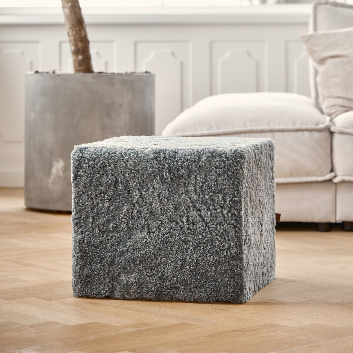 pöh | Lyhytkarvainen | Uusi-Seelanti