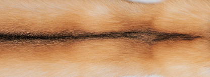 Plaid | Kashmir, kettu | 130x200 cm