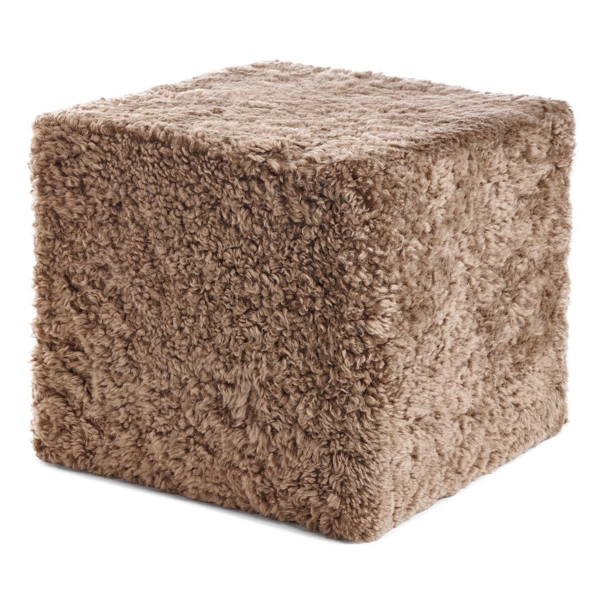 pöh | Lyhytkarvainen | Uusi-Seelanti