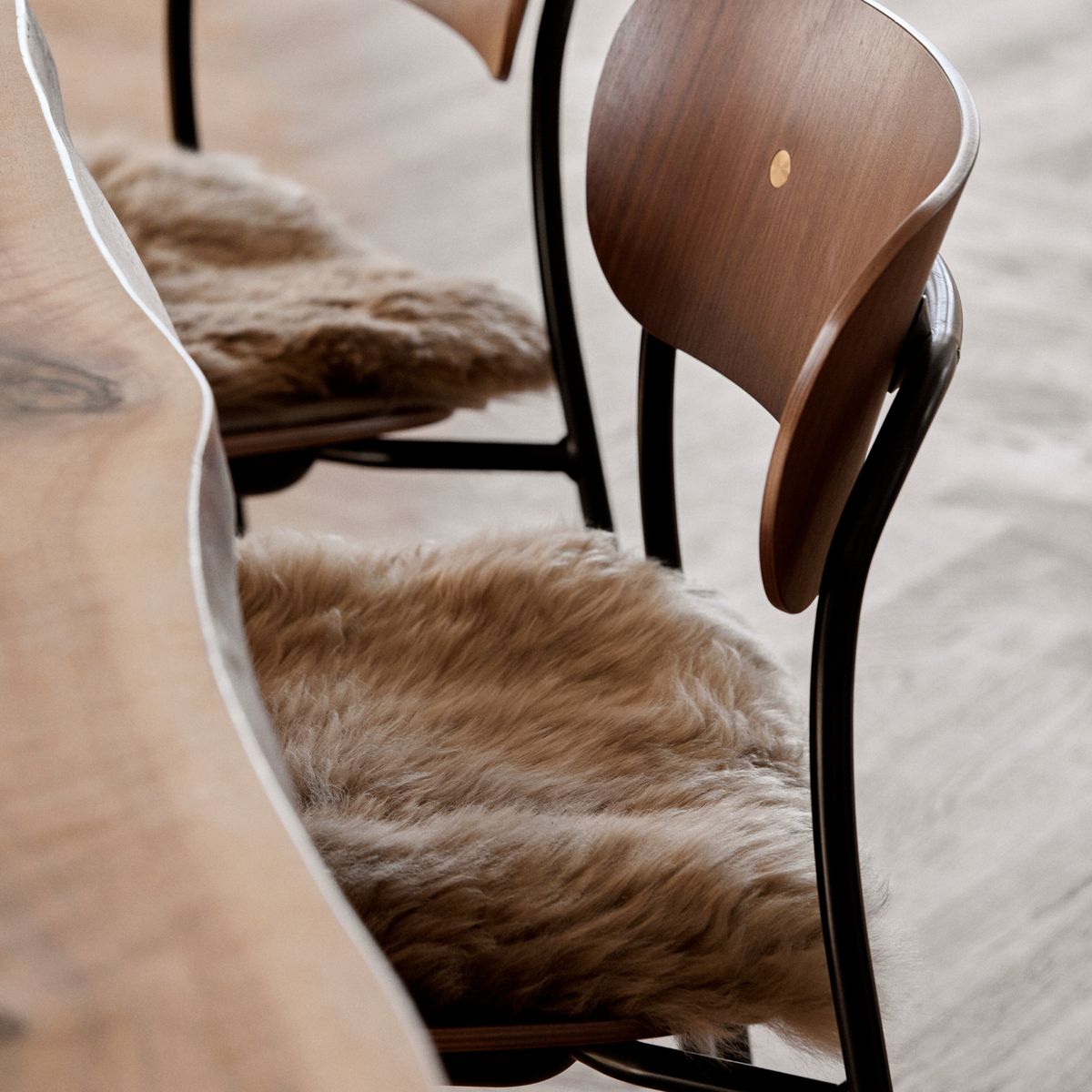 Nollajäteinen istuintyyny | Pitkäkarvainen | Uusi-Seelanti | 35x35 cm