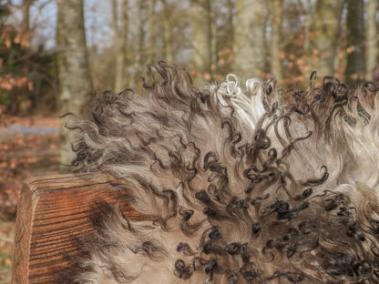 Lampaannahka | Kihara | Itävalta | 90x60 cm