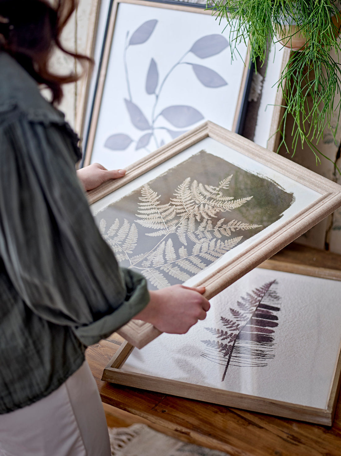 Luova kokoelma Corval kuvaa kehyksellä, luonnolla, mäntyllä