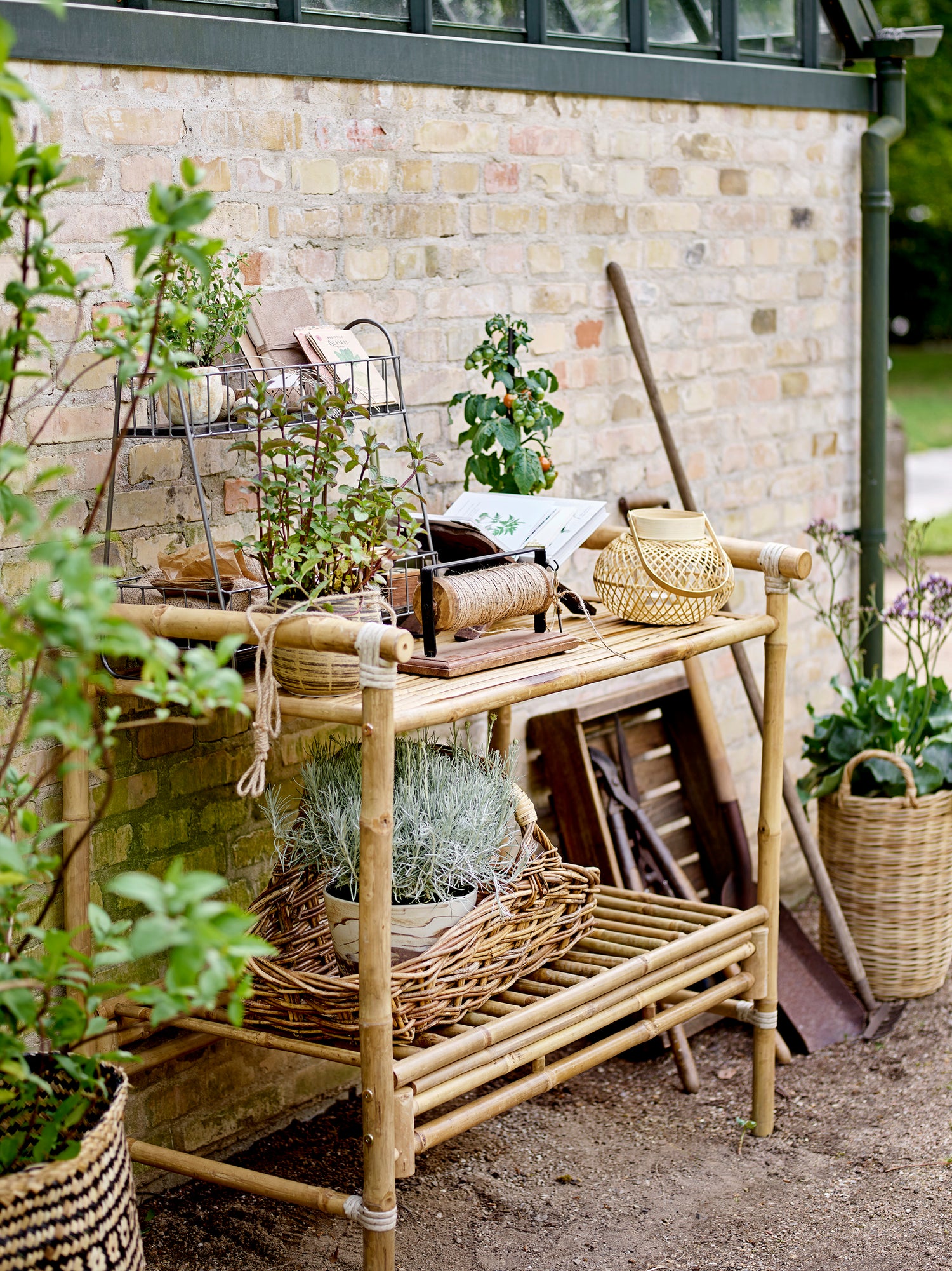 Malda -lyhtyet lasi, luonto, bambu