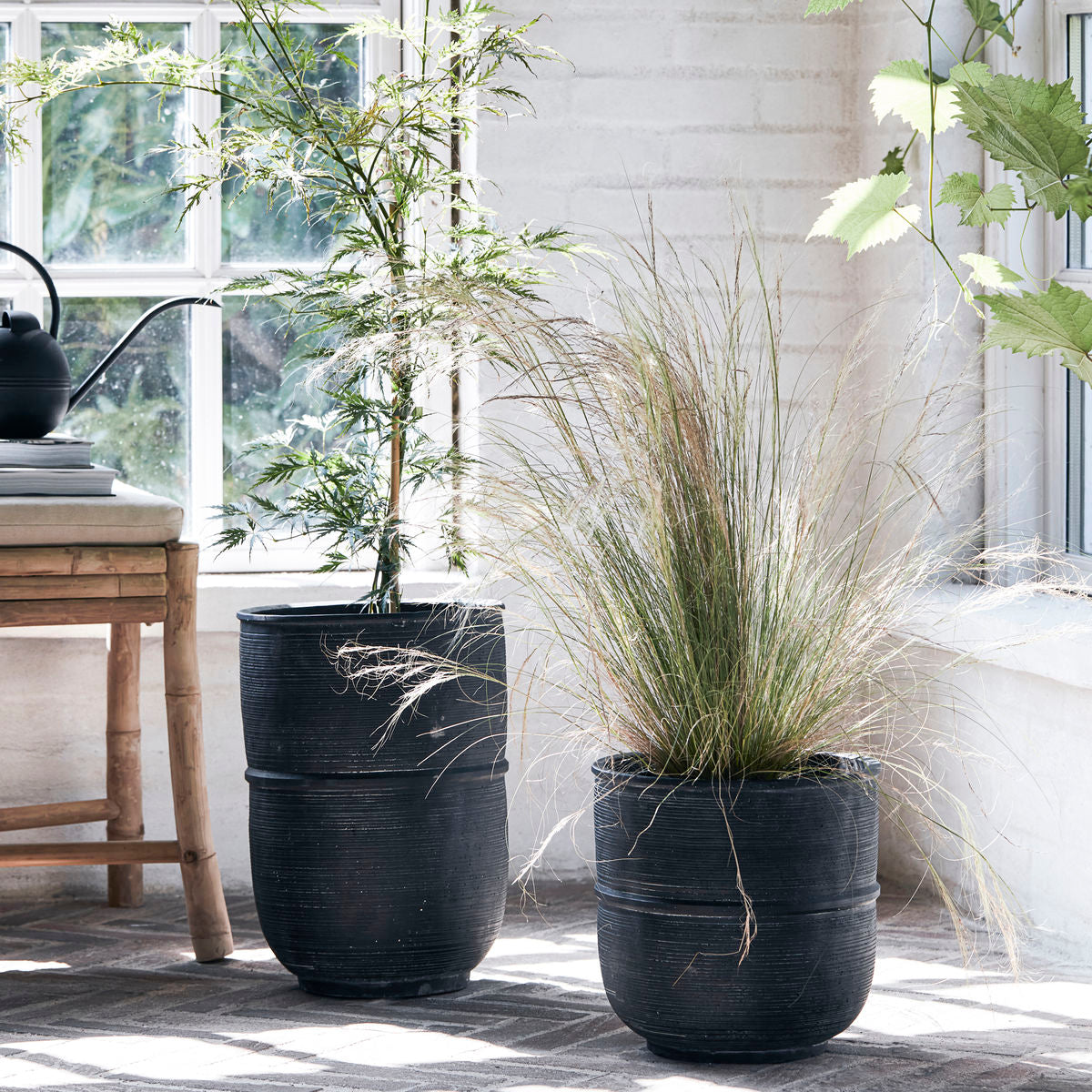 Talo -lääkäri - yrttipot, HD -kenttä, betoni