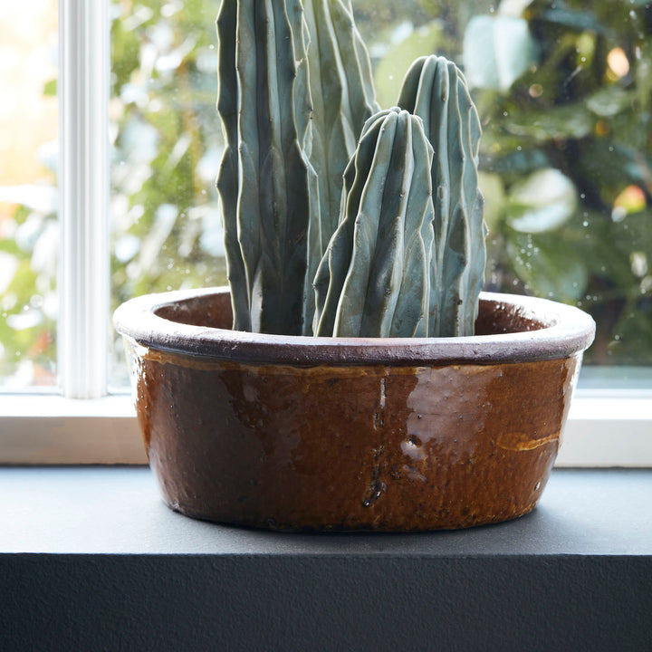 Talo-lääkäri Herb Pot, Whai, Sinappikelta-H: 10 cm, Dia: 26 cm