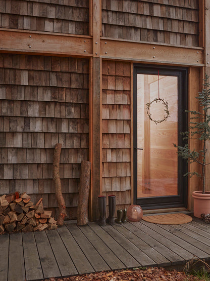 Oyoy asuva sateenkaaren ovimato - luonto