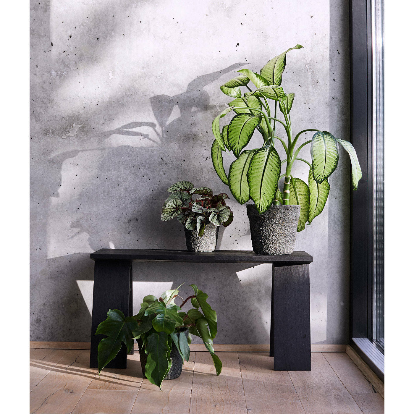 Krukke Mosu 16 - Mos grøn - Cement med rå sand finish - H: 16 Ø: 17 cm - Muubs - DesignGaragen.dk
