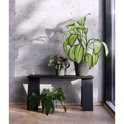 Krukke Mosu 16 - Mos grøn - Cement med rå sand finish - H: 16 Ø: 17 cm - Muubs - DesignGaragen.dk