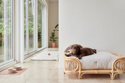 Oyoy Zoo Kaya Dog -huopa - Medium