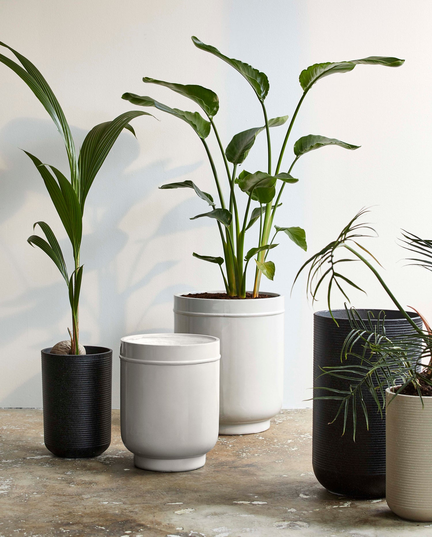 Eday yrttipotissa - 2 kpl. - H56/46 cm - harmaa