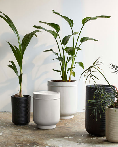 Eday yrttipotissa - 2 kpl. - H56/46 cm - harmaa